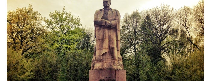 Пам’ятник Івану Франку / Ivan Franko Monument is one of Lviv gezi durakları.