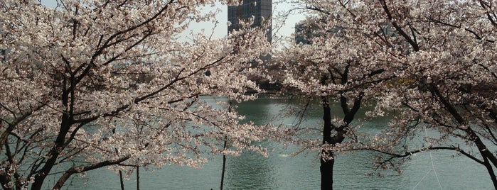 Seokchon Lake - West is one of Outdoor Activities.