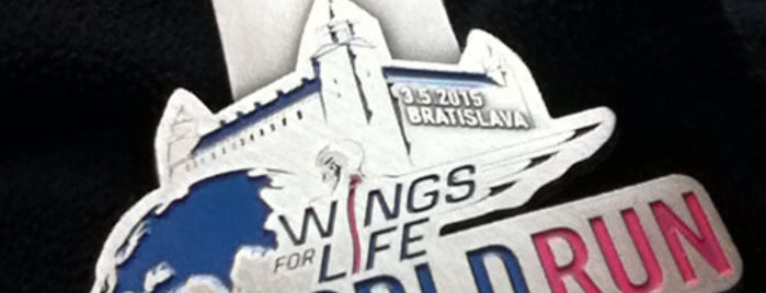 Wings for Life World Run 2015 BRATISLAVA is one of Venues for re-open/close.