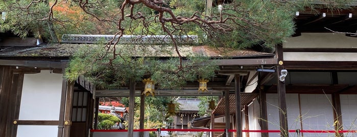 Arashiyama is one of BC's Japan List.