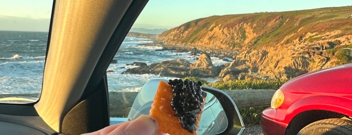 Bodega Head is one of Occidental Trip.