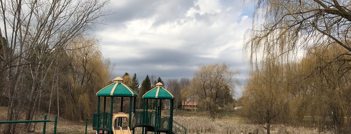 Henderson Forest is one of Ontario - Outdoors.