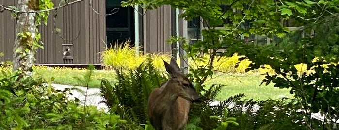 The Evergreen State College. Campus :)