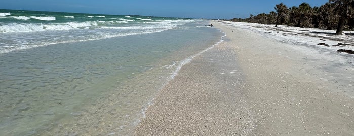 Caladesi Island State Park is one of Blondie's favorite dating spots.