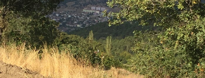 güvendik köyü is one of Locais curtidos por Nazira.