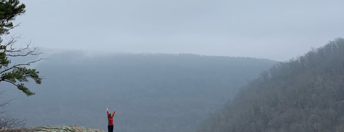 Whitaker Point is one of Driving around 48 states in United States.