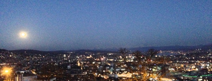 Restaurant Die Waid is one of Zurich Skywalking.