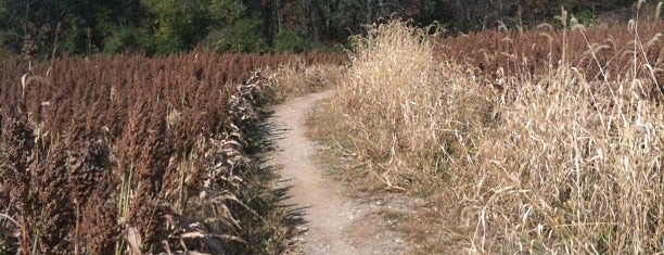 White Clay Creek State Park is one of Delaware Fun.