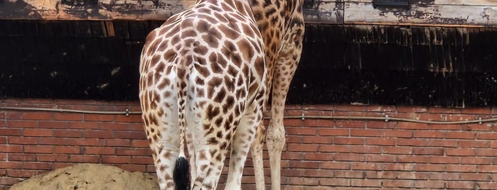 ZOO Liberec is one of Výlety.