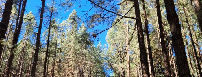 Mirador de Ortuño is one of RT: La Laguna-La Esperanza-El Teide.