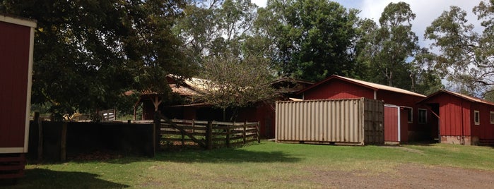 Haleakala Ranch is one of Molokai Cowgirls - Horses in Hawaii.
