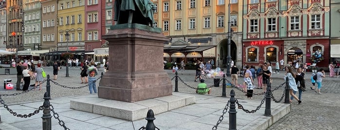 Monument of Aleksander Fredro is one of Wroclaw to see/eat/drink (Poland).
