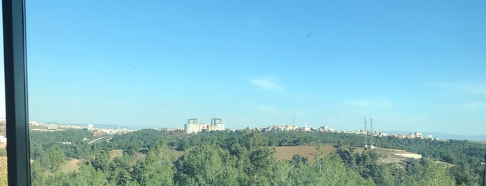 Uşak Üniversitesi Eğitim Fakültesi is one of Alındı.