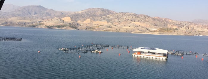 Köprü Restaurant is one of Elazığ.