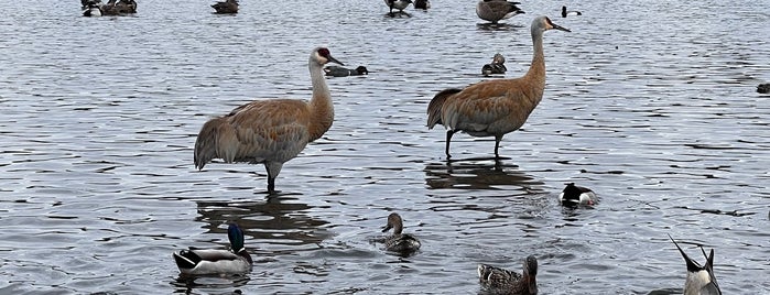 Burnaby Lake Regional Park (Piper Spit). is one of A Guide to Vancouver (& suburbia).