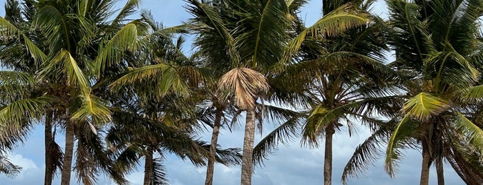 Crandon Park Beach is one of Miami.