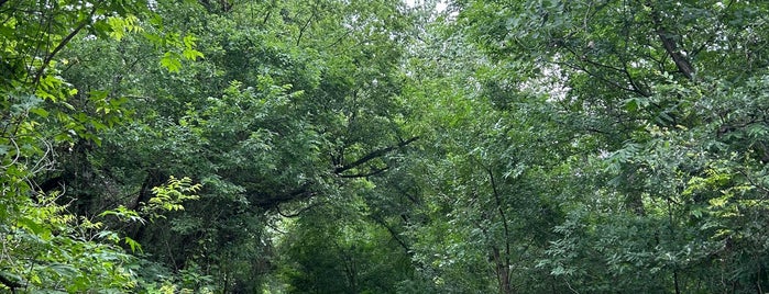 Barton Green Belt Trail is one of Austin Adventures.