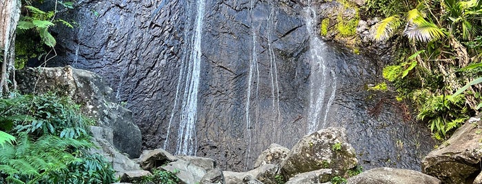 La Mina Falls is one of Puerto Rico.