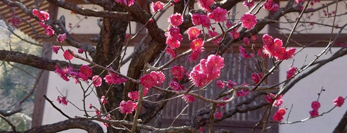 正覚寺 is one of 心の安らぎ.