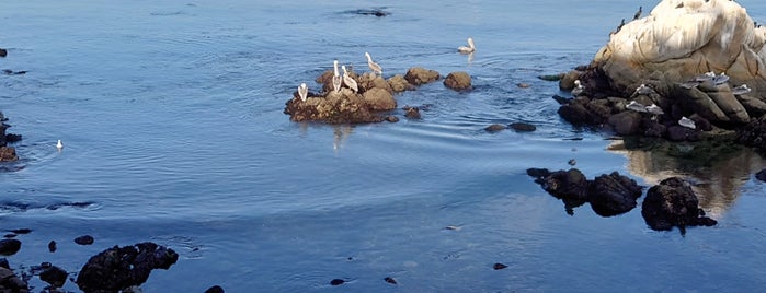 Monterey Bike Path is one of Monterey Bay.