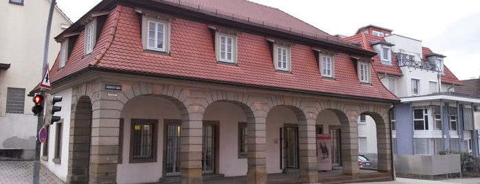 Asperger Torhaus is one of Museen.