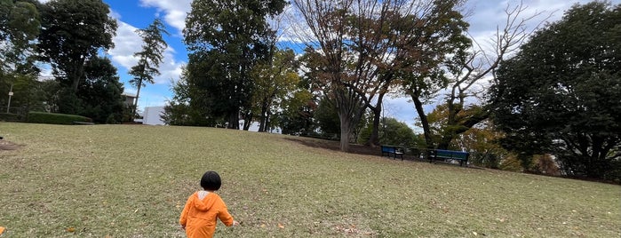 吾妻山公園 is one of センター南、北.