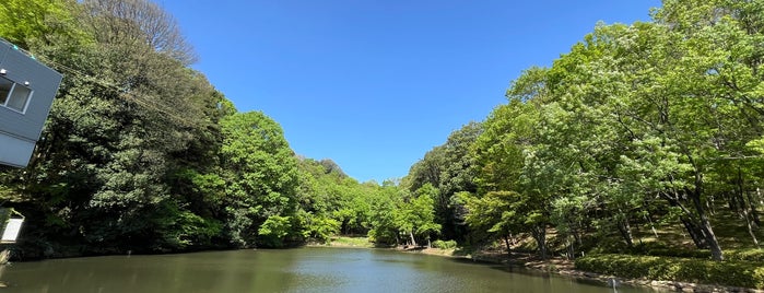 都筑中央公園 is one of センター南、北.
