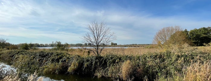 Teichlandschaft Linum is one of Recreation.