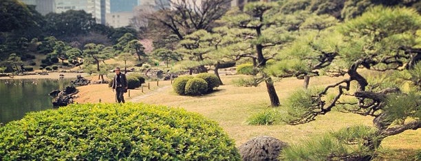 Kyu Shiba Rikyu Garden is one of Japan-日本-ประเทศญี่ปุ่น.
