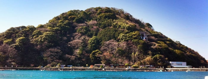 Awashima Marine Park is one of 箱根伊豆.