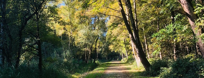 Provinciedomein Palingbeek is one of Orchies.