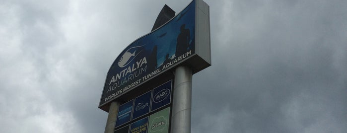 Antalya Aquarium is one of Lieux qui ont plu à Pelin.