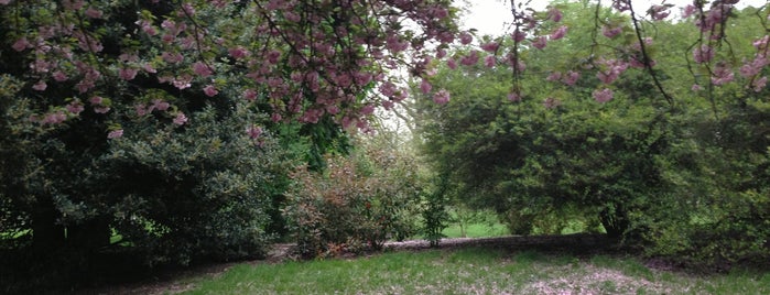 Кенсингтонские сады is one of London.