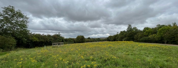 Fermyn Woods Country Park is one of Great outdoors for kids.