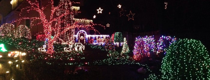 Christmas Light Show is one of Events.