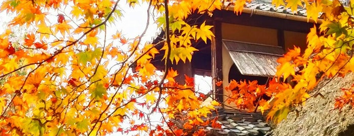 Shisen-do Jozanji Temple is one of 参拝した寺院.