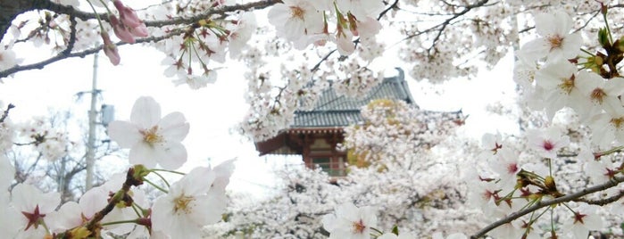四天王寺 is one of 参拝した寺院.