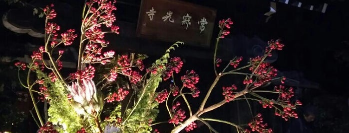 Jōjakkō-ji Temple is one of 参拝した寺院.