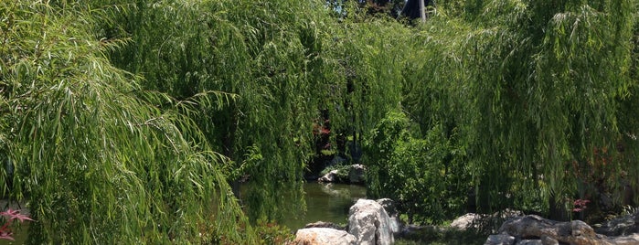 Chinese Garden is one of JNETs Hip and Happy LA Places.