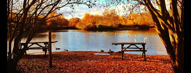The Wolseley Centre is one of Everything Else.