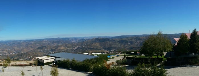 Paraíso Do Douro is one of Pedroさんのお気に入りスポット.