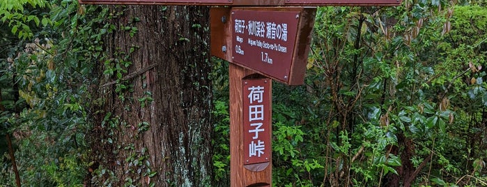 荷田子峠 is one of 昭島、福生、羽村、あきる野、日の出、瑞穂.