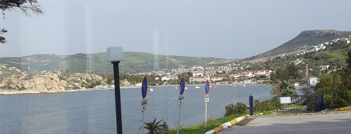 Kaleburnu Askeri Gazino ve Sosyal Tesisleri is one of foça.