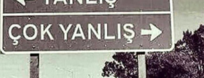 Beyoğlu Kokoreç is one of Aydin : понравившиеся места.