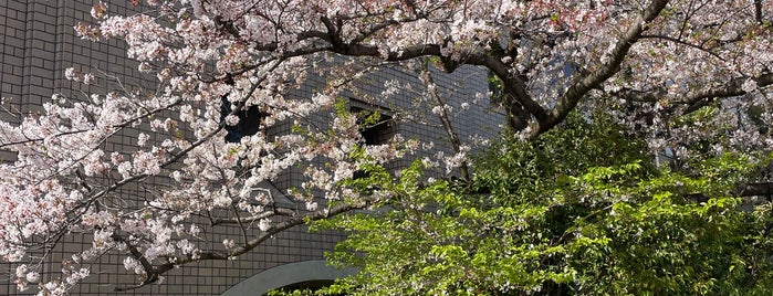 東京都立大学 南大沢キャンパス is one of なんじゃそら４.