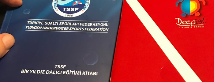 Deepist Dalış Ve Doğa Sporları Merkezi is one of Spor Mekanları.