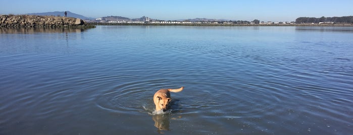 Point Isabel Dog Park is one of 2022 funzies.