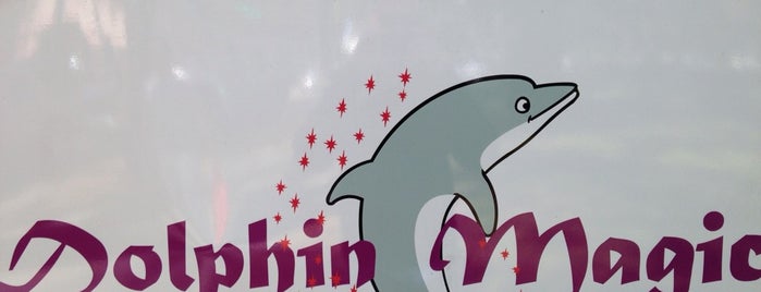 Dolphin Magic is one of Activities!!!.
