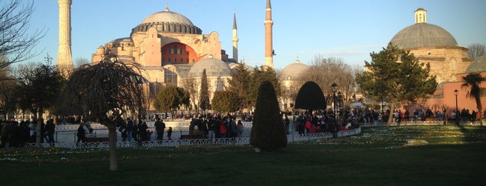 Hagia Sophia is one of English & Spanish Official & Licensed Tour Guide.