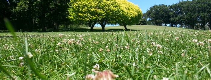 Auckland Domain is one of Auckland, New Zealand.